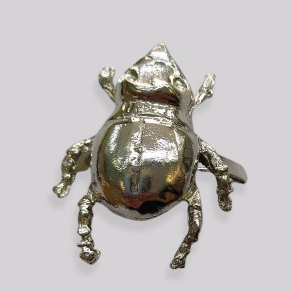 Escarabajo cabeza plana